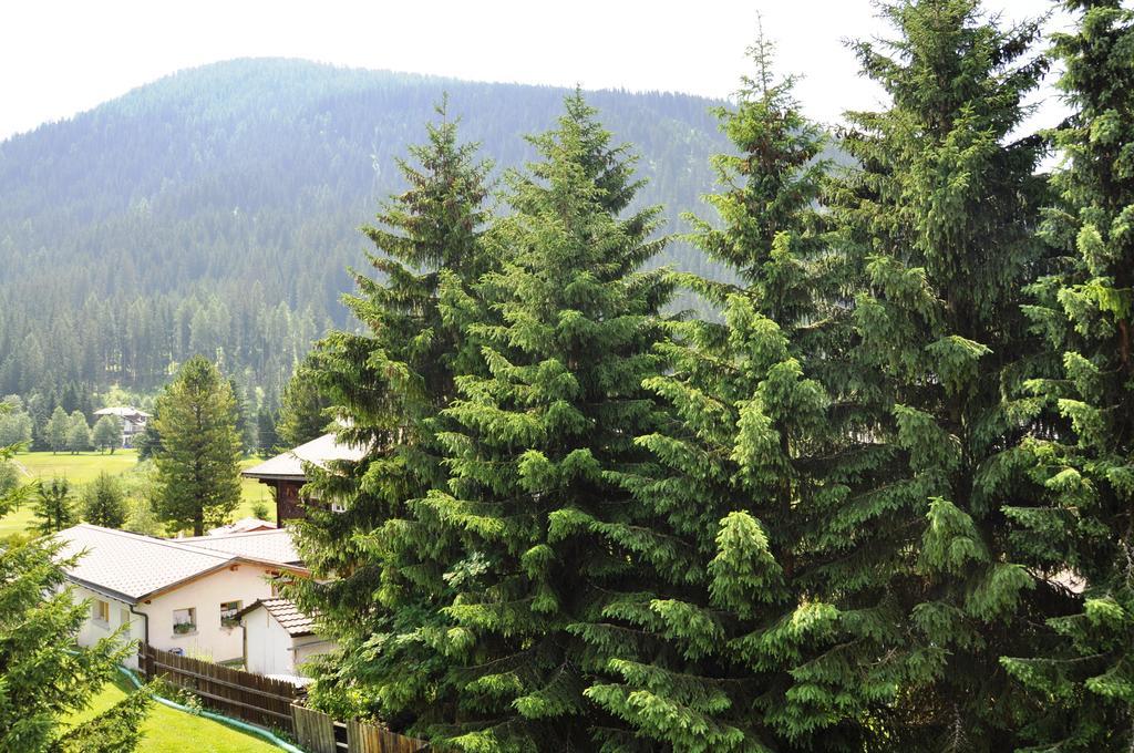 Studio Riedwiese Davos Bilik gambar