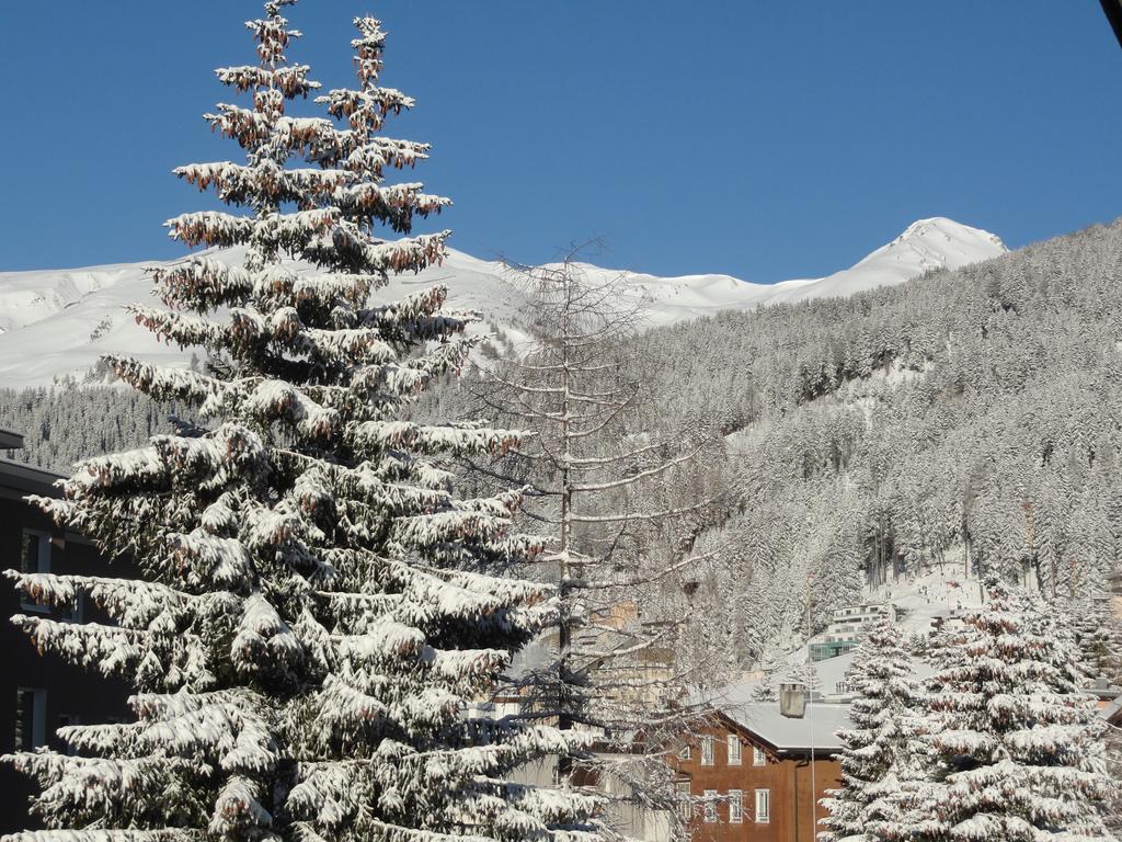 Studio Riedwiese Davos Bilik gambar