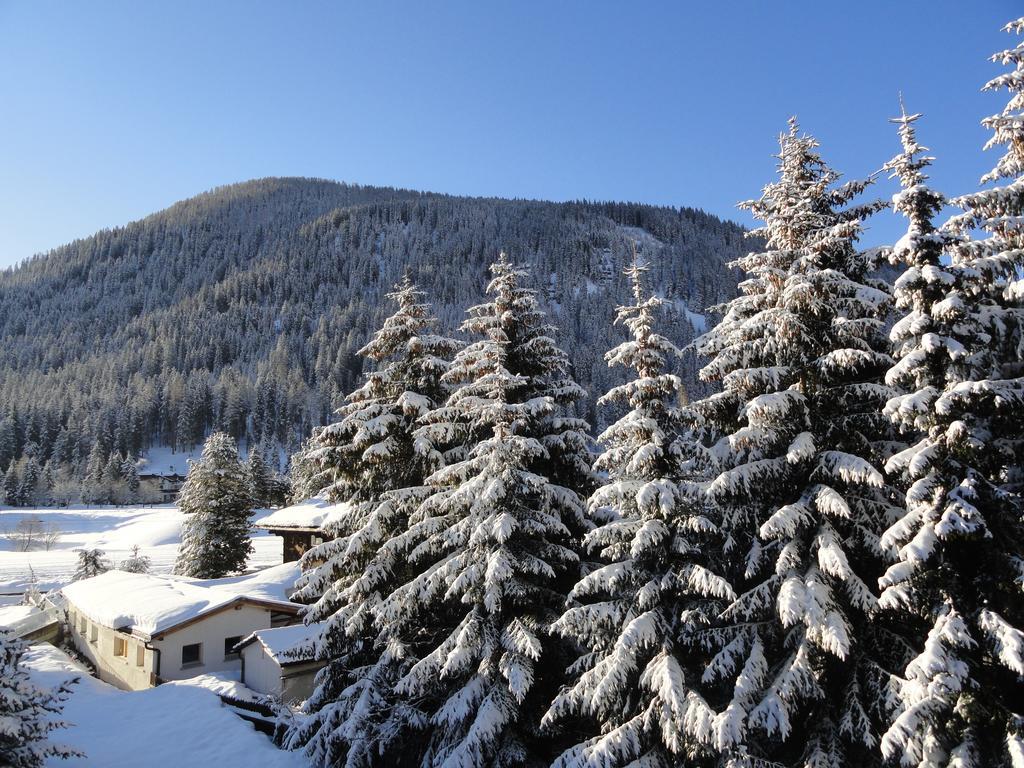Studio Riedwiese Davos Bilik gambar